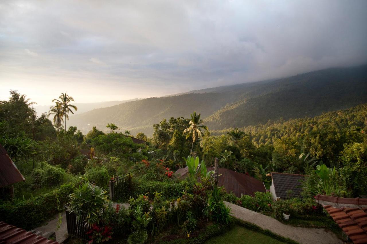 Aris Homestay And Warung Made Munduk Exterior foto